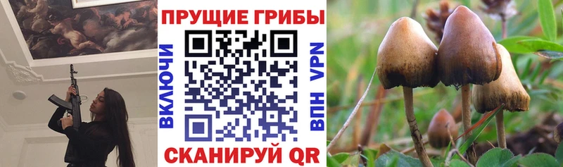 Галлюциногенные грибы MAGIC MUSHROOMS Духовщина